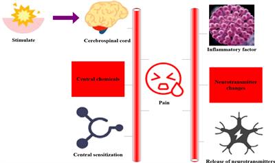 Application of ERAS concept in clinical nursing of patients with advanced cancer pain of gynecological malignant tumors